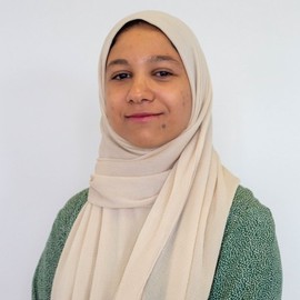 Afek Amiri
